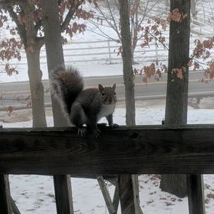 Meet your Posher, Matthew